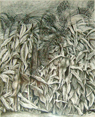disegno 02